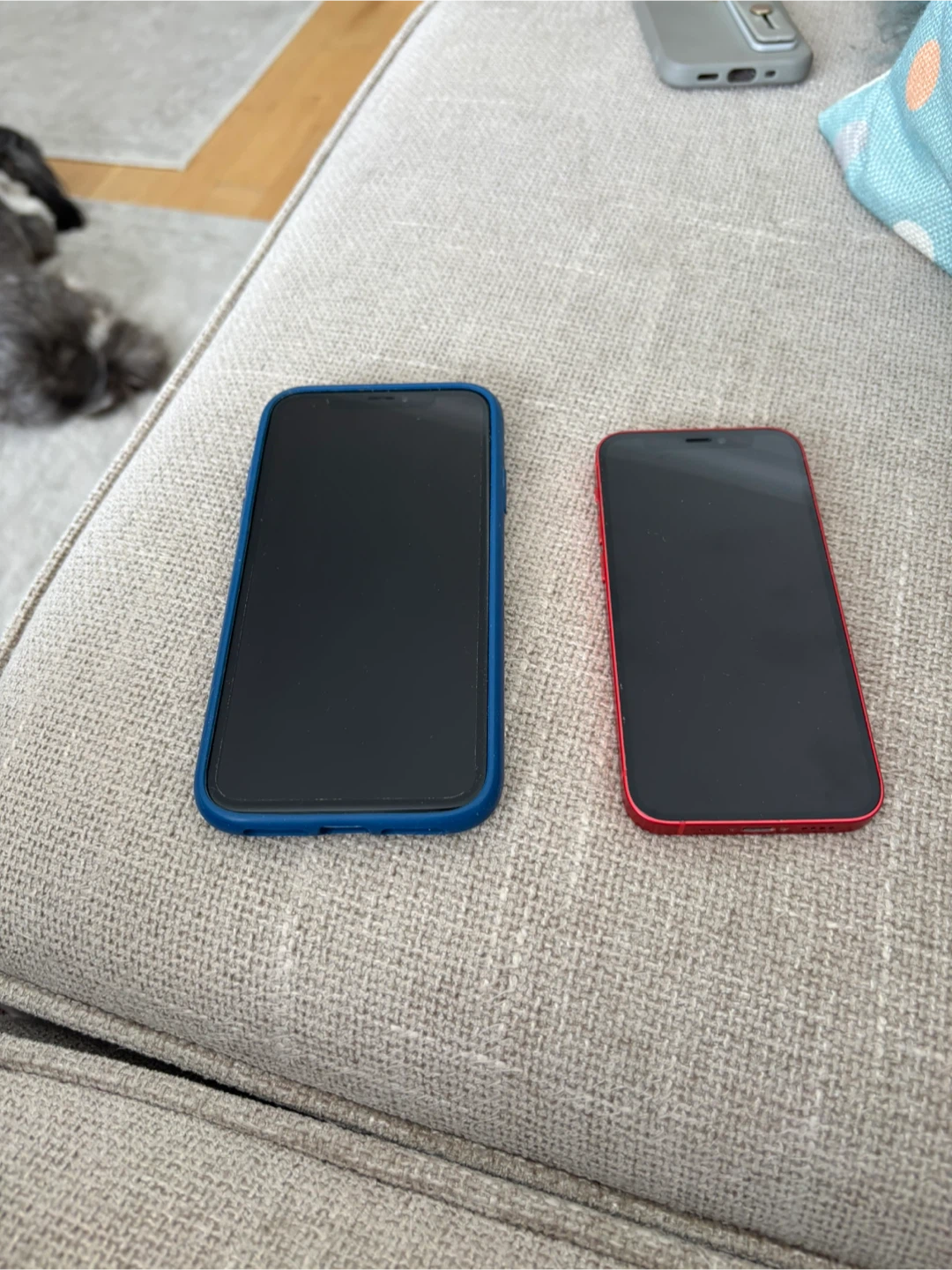 iPhone XR Blue with Case - photo 5