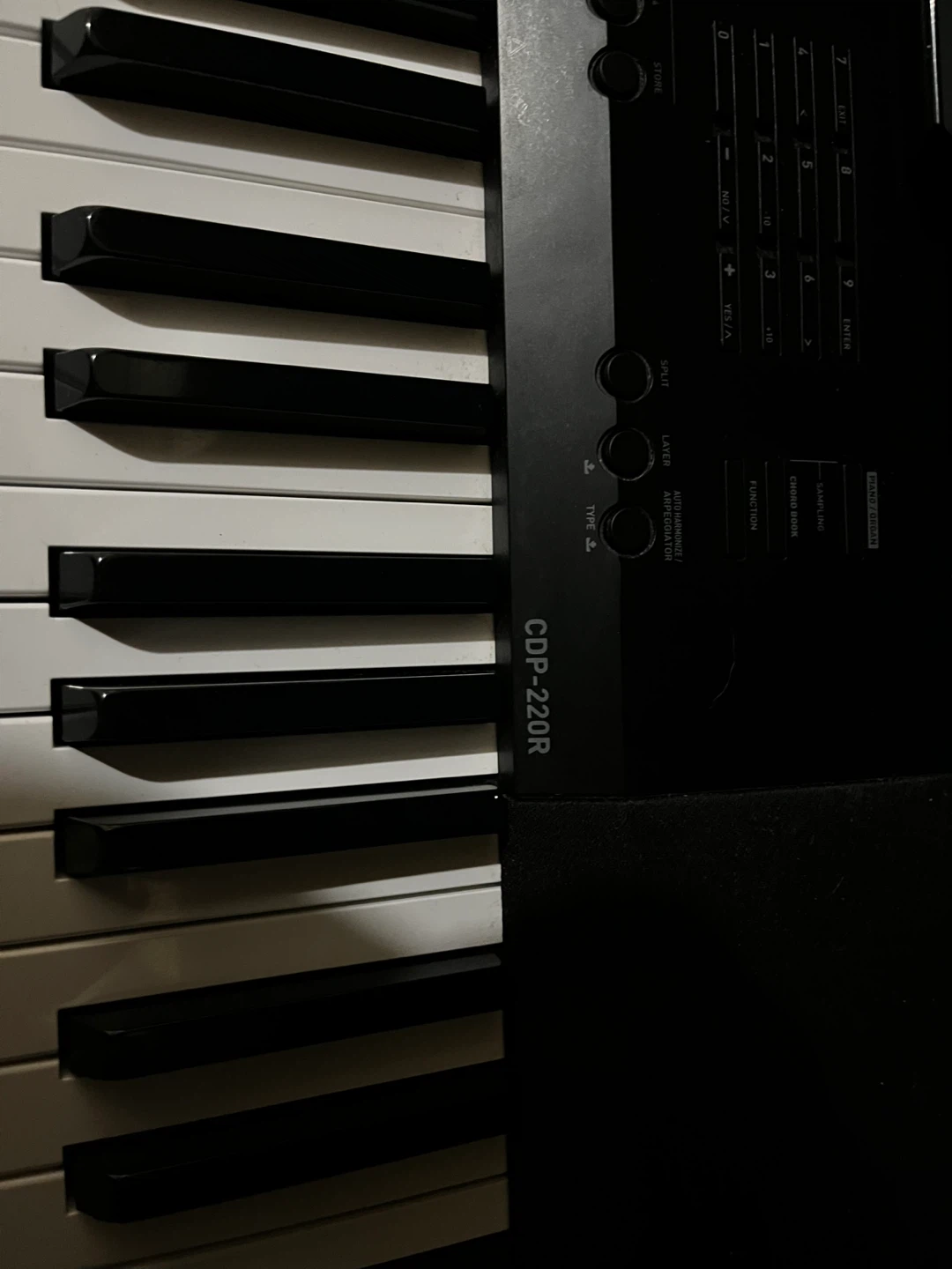 Casio CDP 220r digital piano 88keys weighted - photo 2