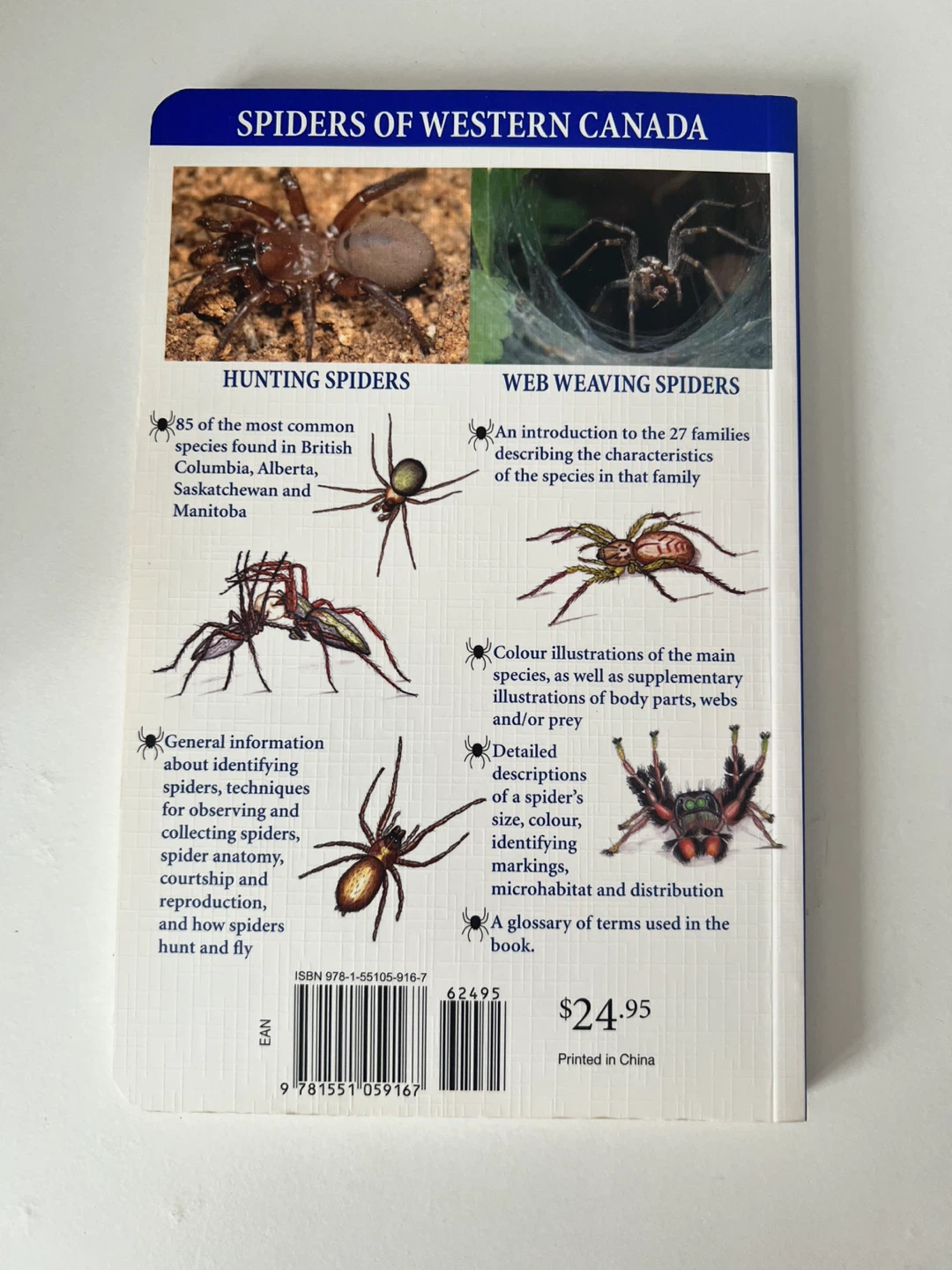 Spiders of Western Canada Book🥕 - photo 2