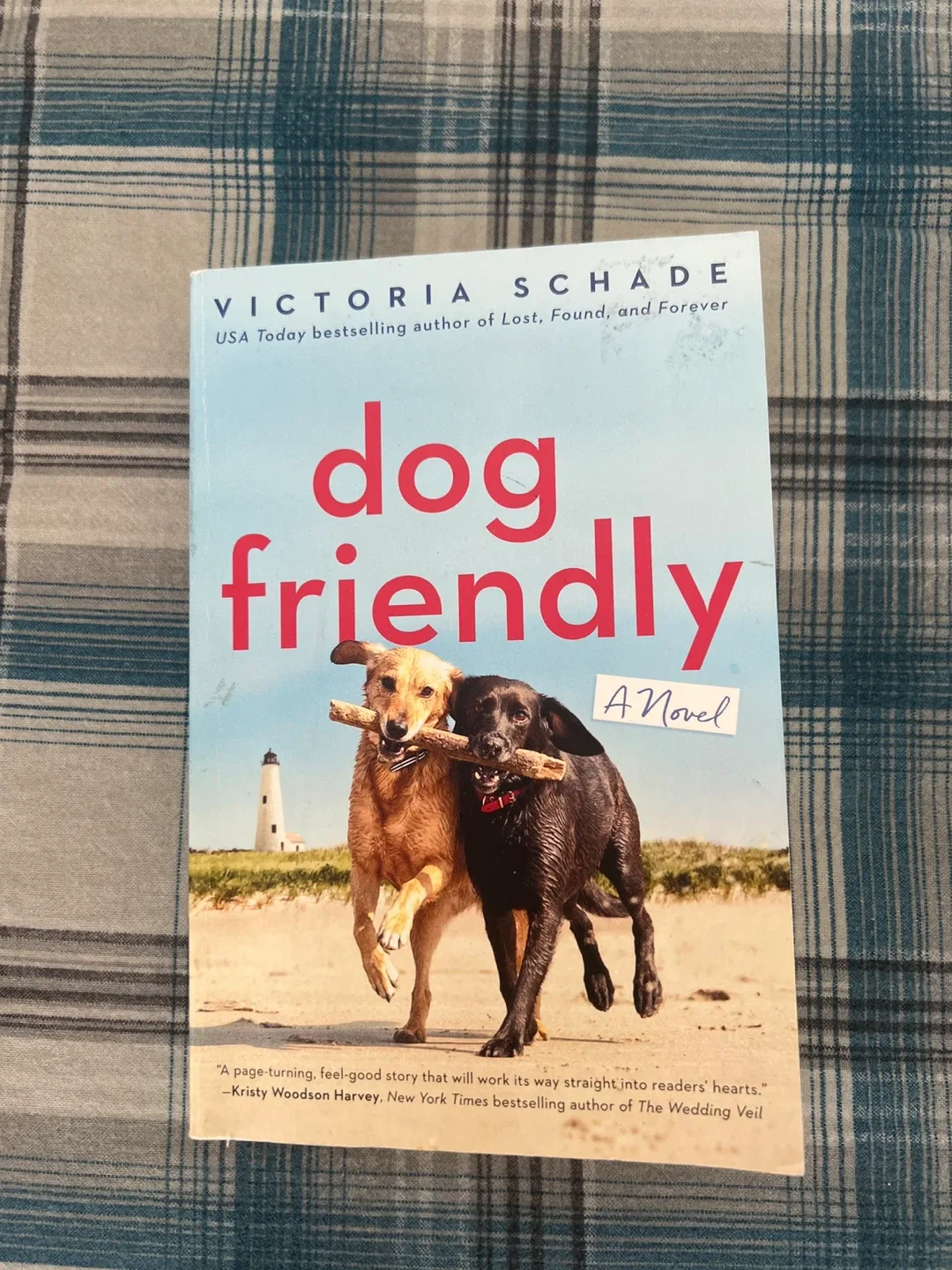 Elin Hilderbrand & Victoria Schade Books image indicator(3)