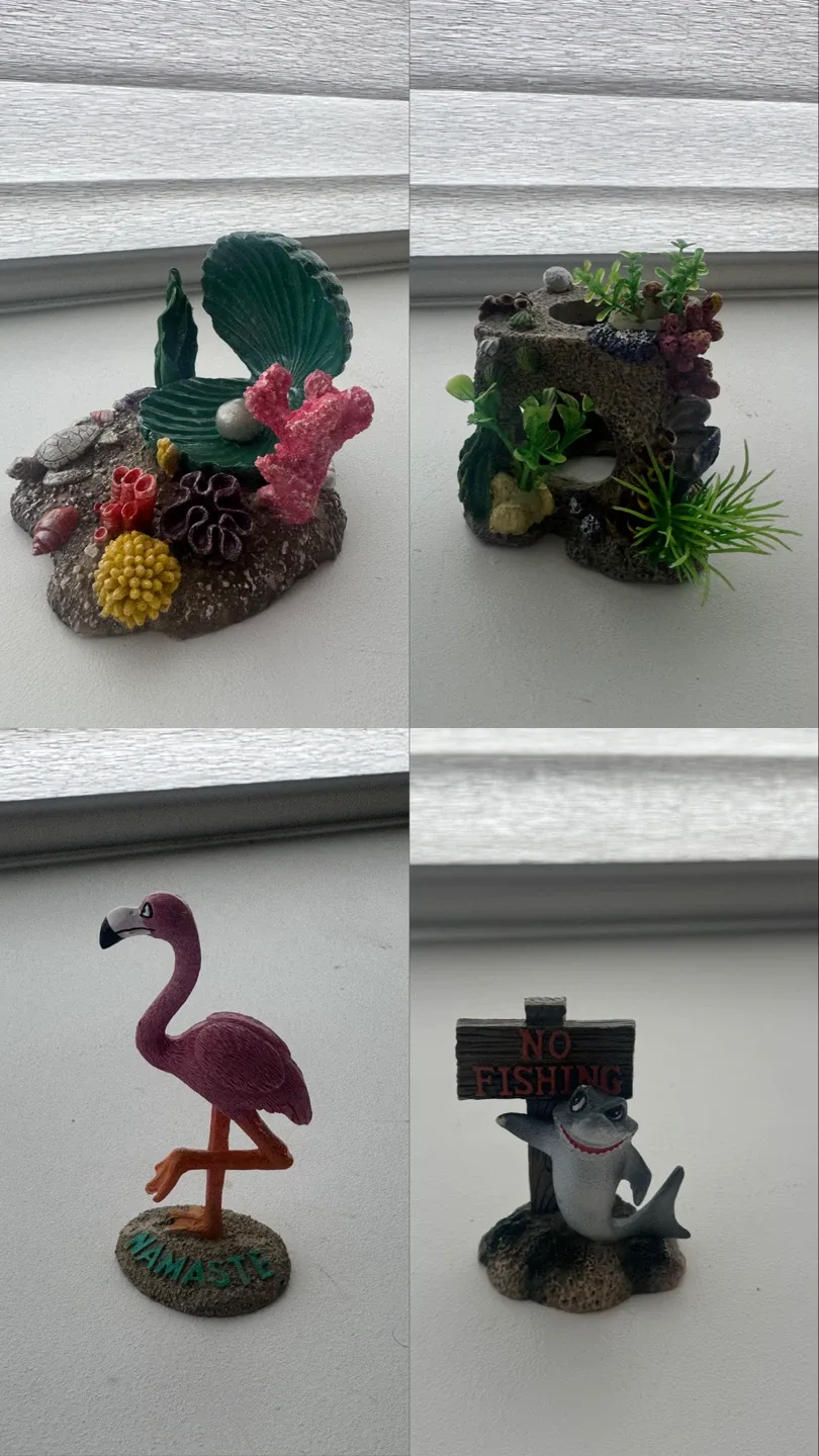 ✨ Beautiful Betta Fish Tank Setup  (Everything Included!) ✨ image indicator(2)