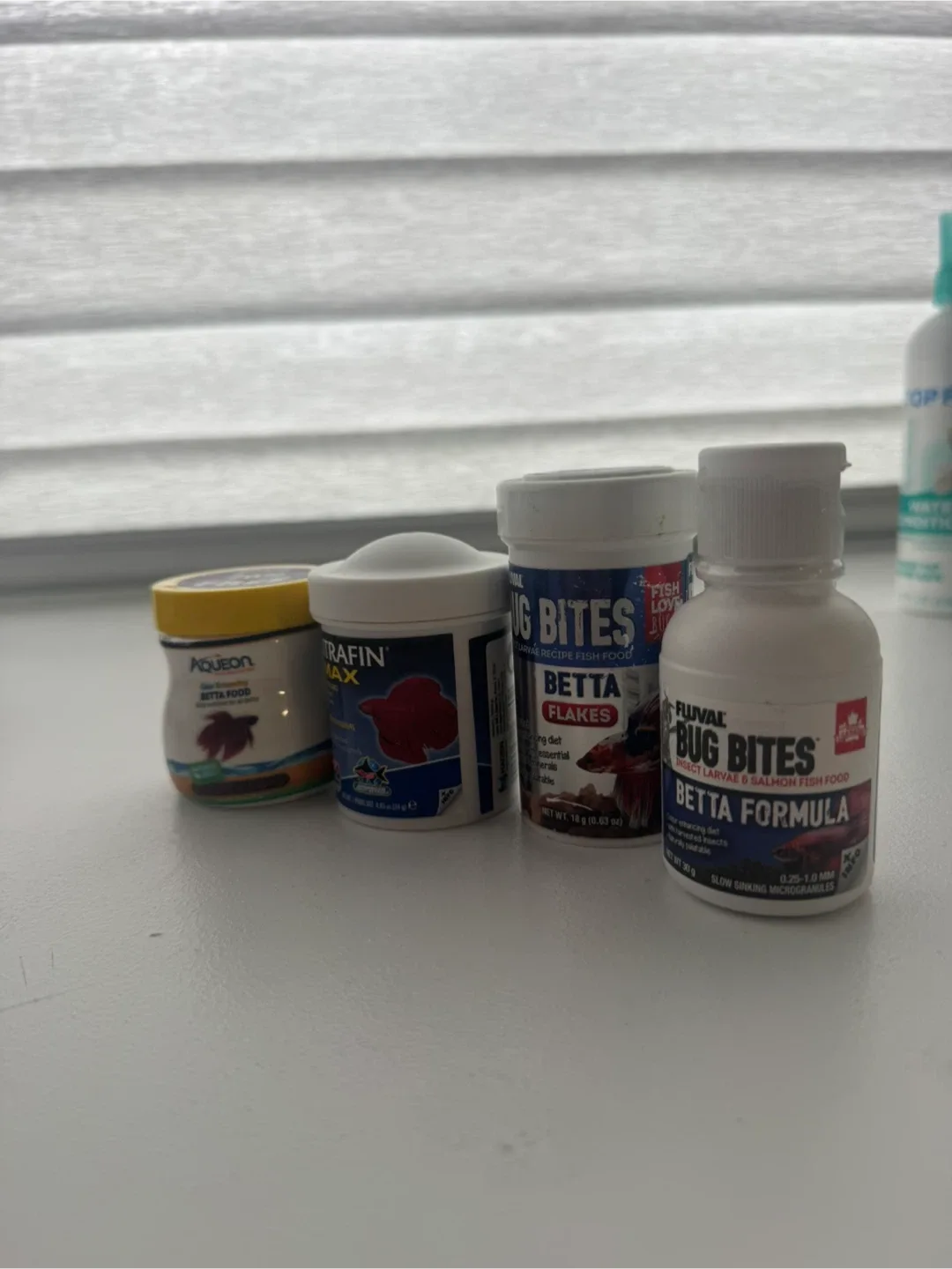 ✨ Beautiful Betta Fish Tank Setup  (Everything Included!) ✨ image indicator(6)