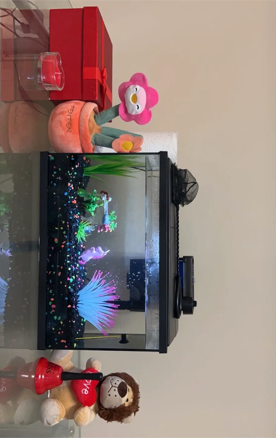 ✨ Beautiful Betta Fish Tank Setup  (Everything Included!) ✨ image indicator(3)