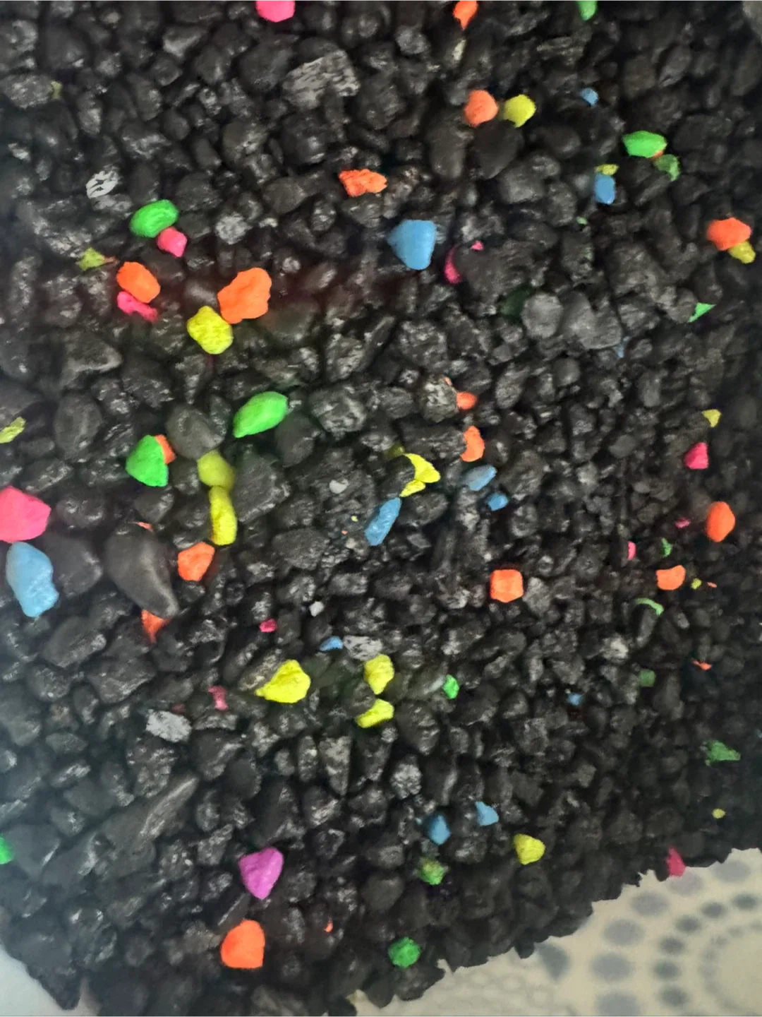 ✨ Beautiful Betta Fish Tank Setup  (Everything Included!) ✨ image indicator(7)