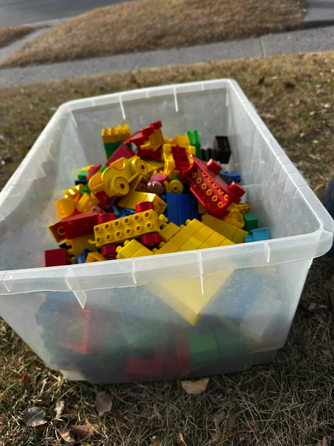 LEGO DUPLO Blocks in Container