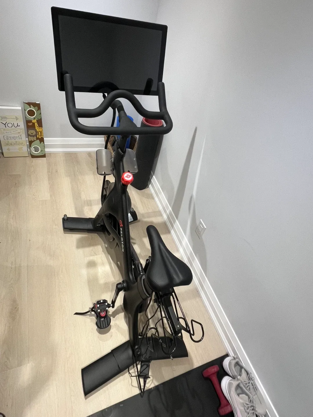 Peloton Bike - Home Exercise image indicator(2)