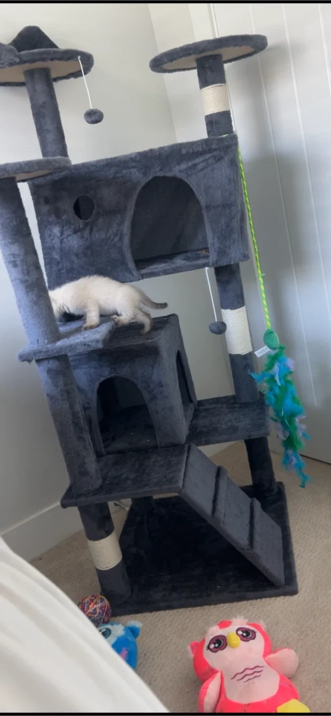 Grey Cat Tree / Cat Tower image indicator(2)