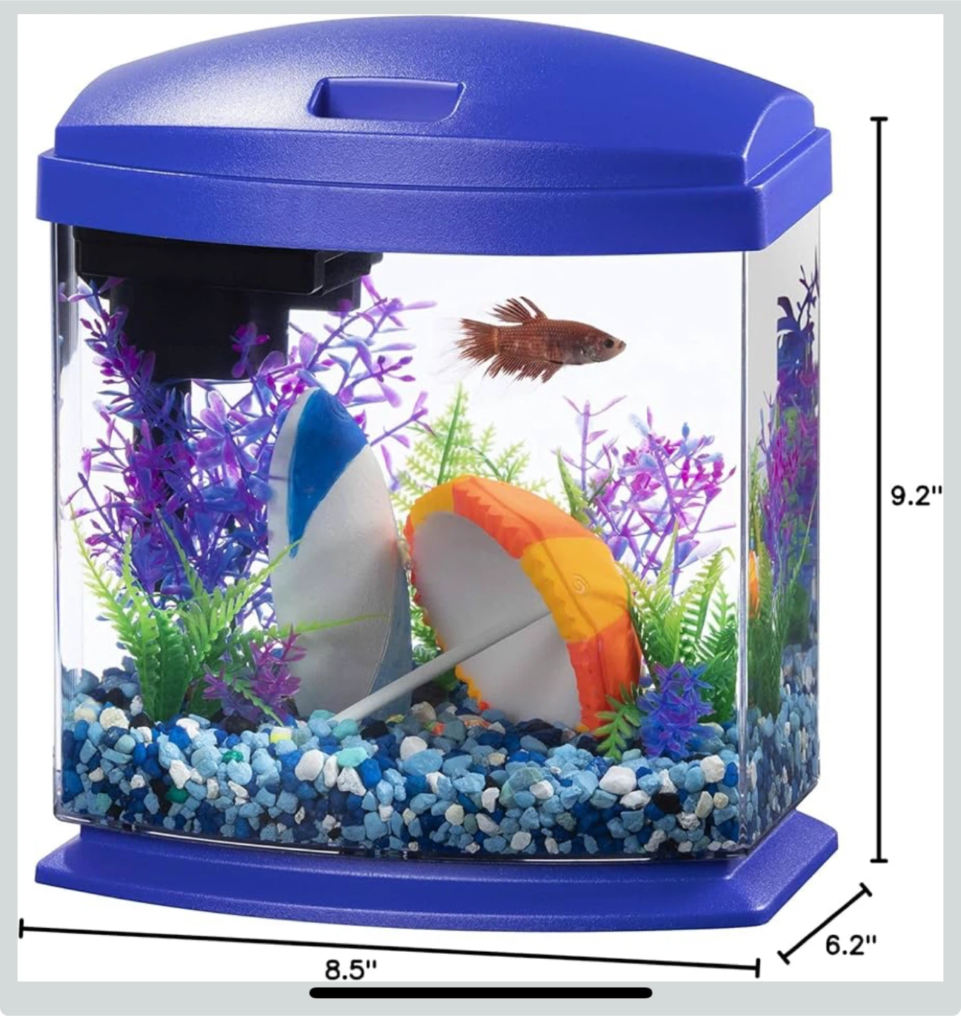 Aqueon MiniBow Aquarium Kit with LED Module
