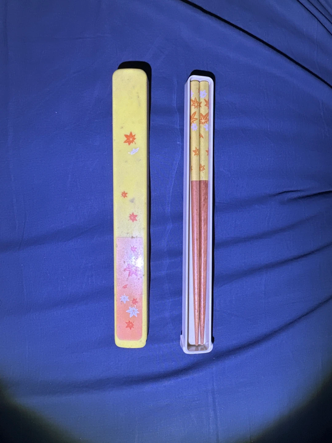 Chopsticks with Case