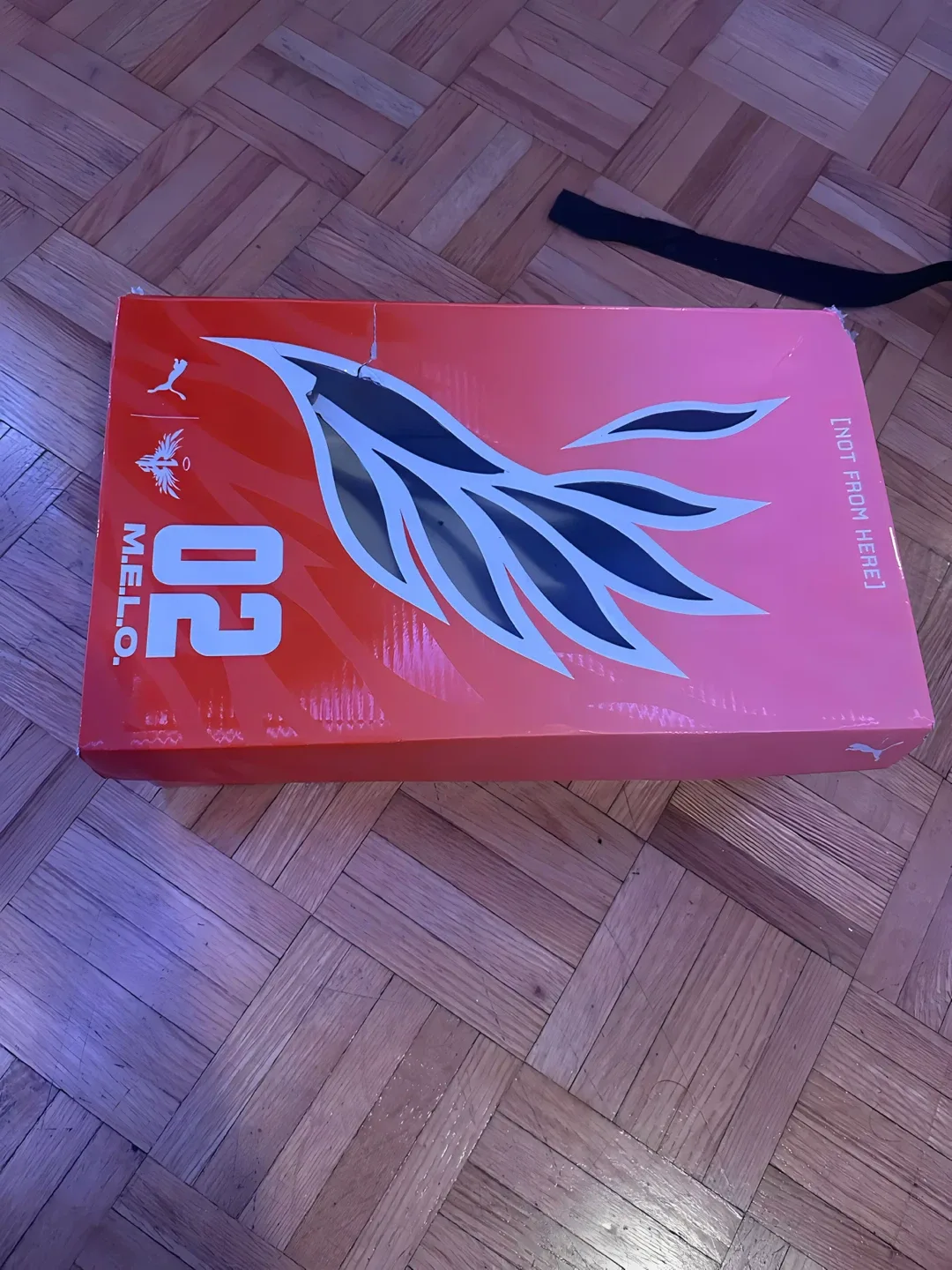 Basketball Shoes (MB.02) image indicator(2)