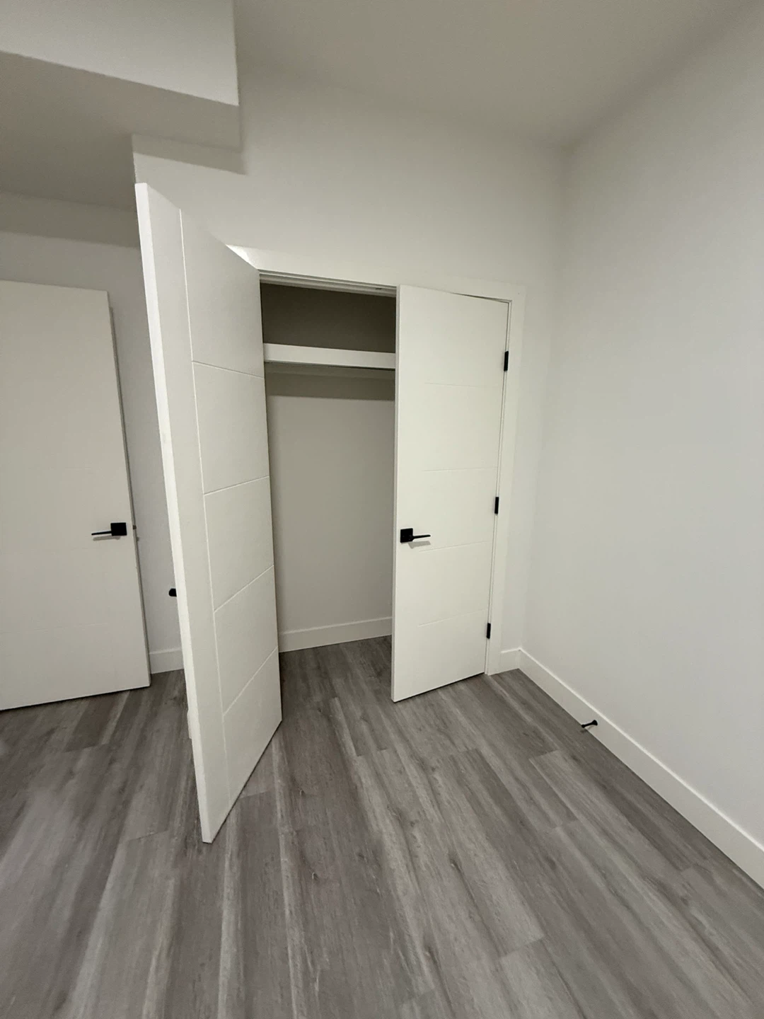 Basement for rent November 15
