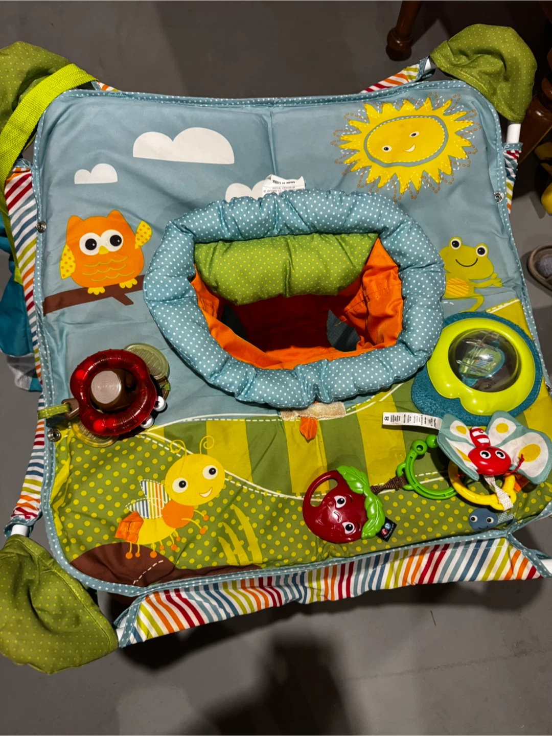 Baby Einstein Around We Grow Activity Center