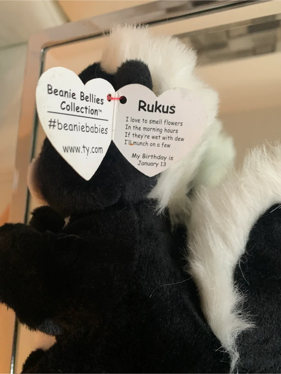 🎁 Bundle 3 Plush Toys: Ty Beanies + Squishmallows image indicator(5)