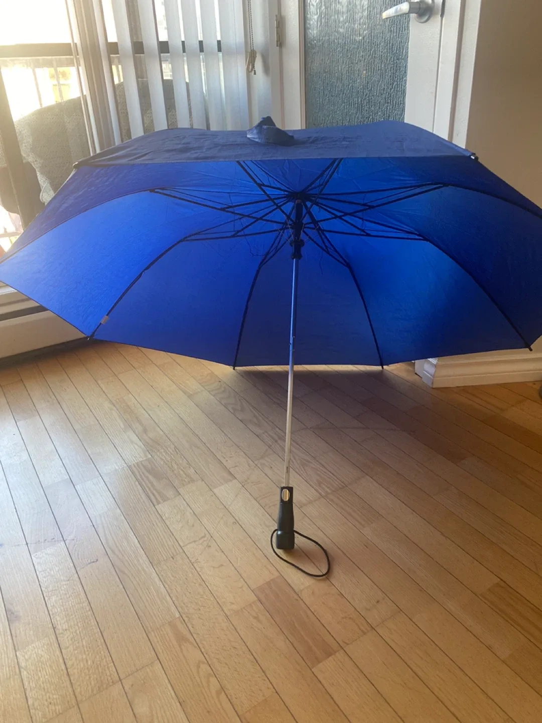 Blue Umbrella