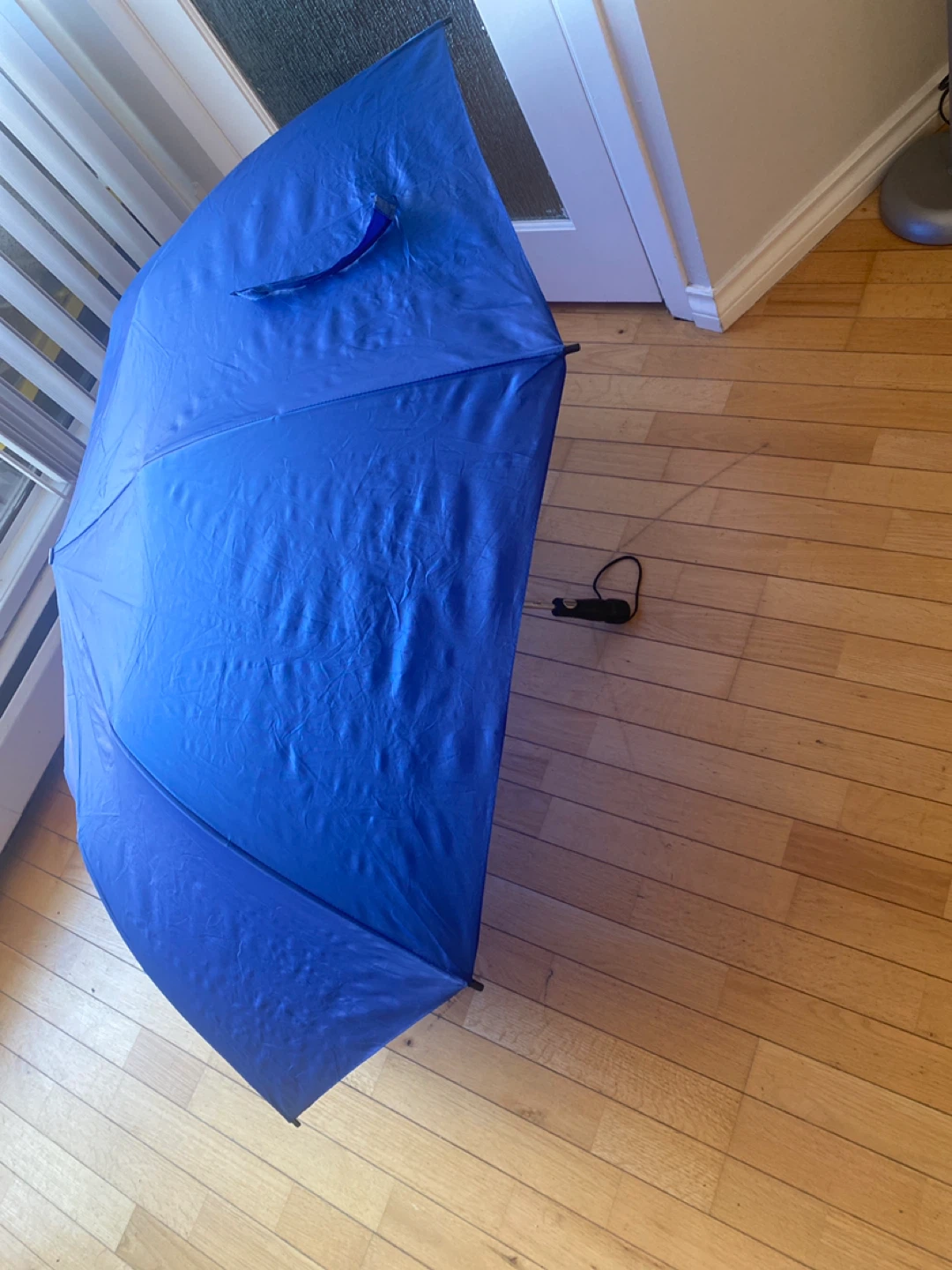 Blue Umbrella - photo 2