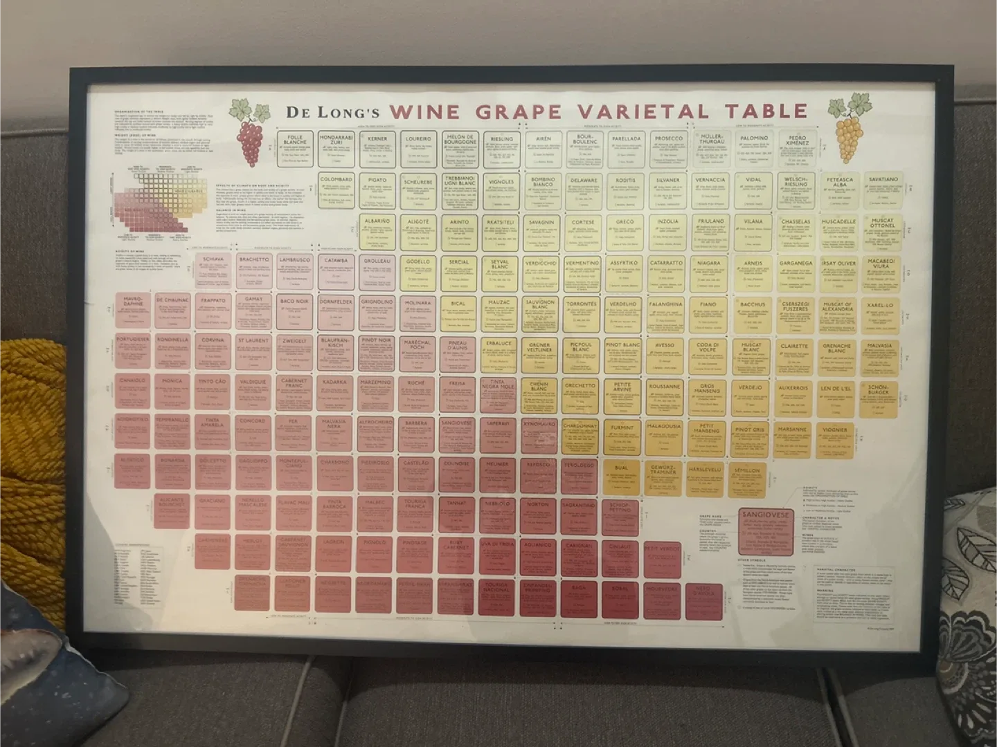De Long's Wine Grape Varietal Table