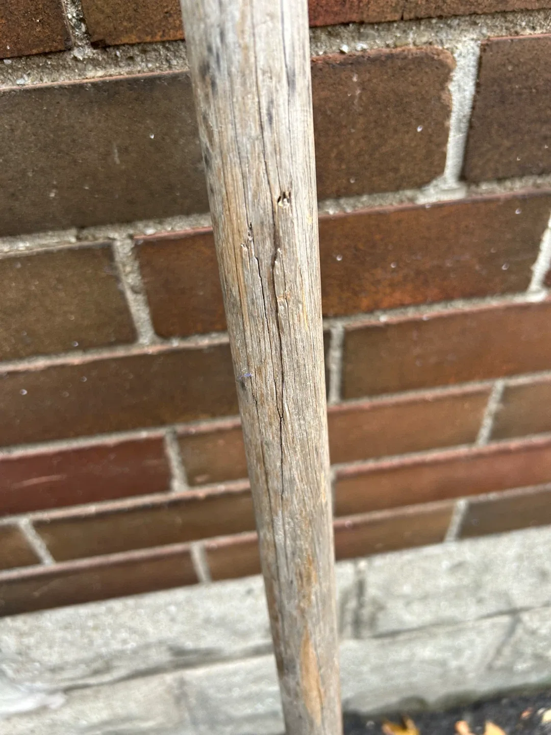 $2 snow shovel pusher  DONLANDS OCONNOR EY  AS IS image indicator(6)