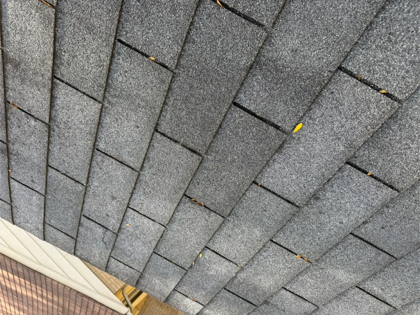 Construction image indicator(3)