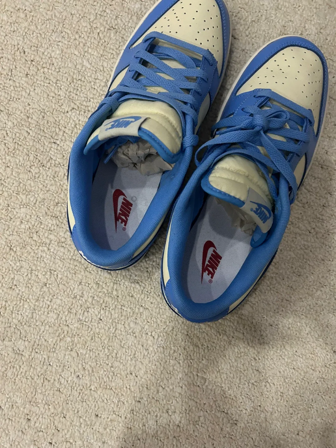 Nike Dunk Low Coast men image indicator(2)