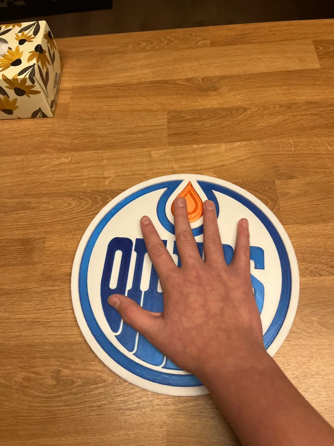3D printed Edmonton Oilers wall decoration image indicator(5)