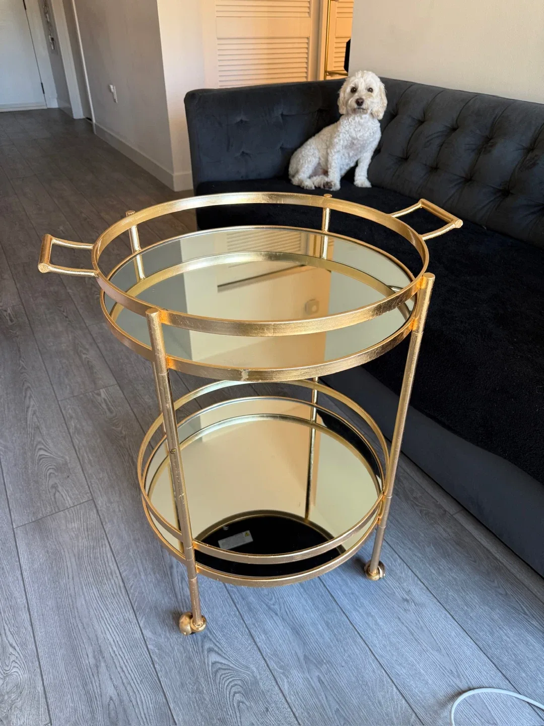 Safavieh gold bar cart! image indicator(3)