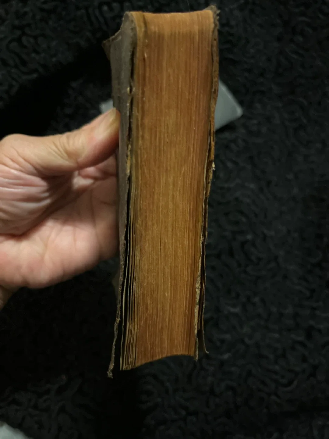 Vintage Holy Bible - Antique Book image indicator(9)