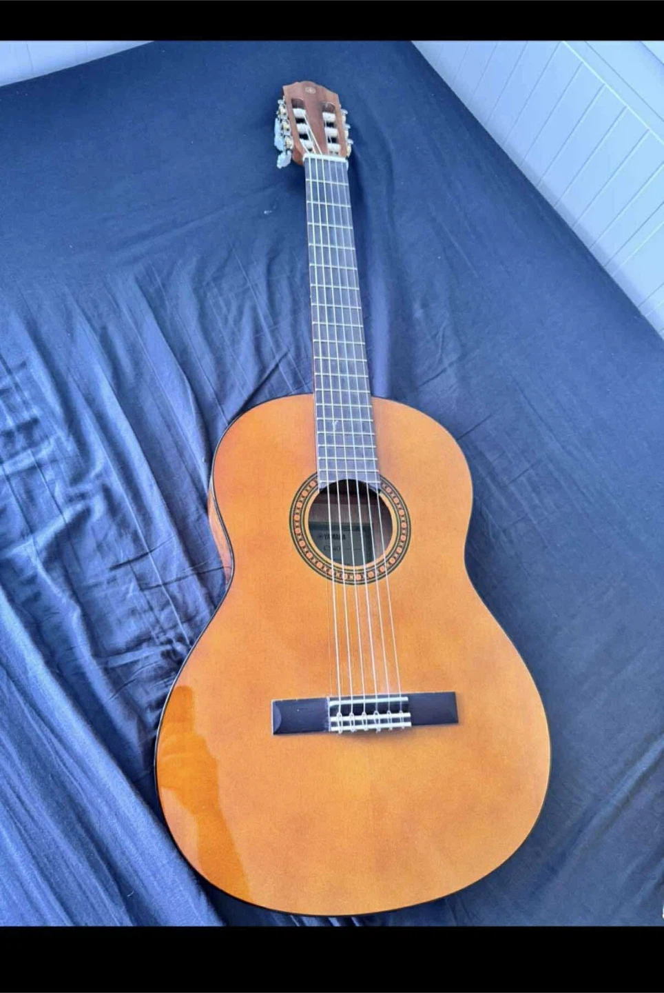 Acoustic Guitar
