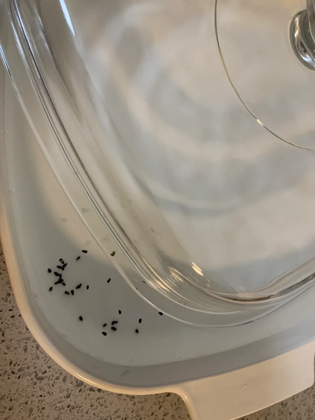 Vintage Corning Ware L'Echalote Casserole Dish image indicator(4)