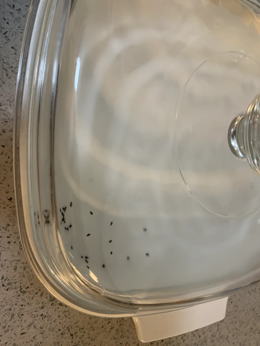 Vintage Corning Ware L'Echalote Casserole Dish image indicator(5)