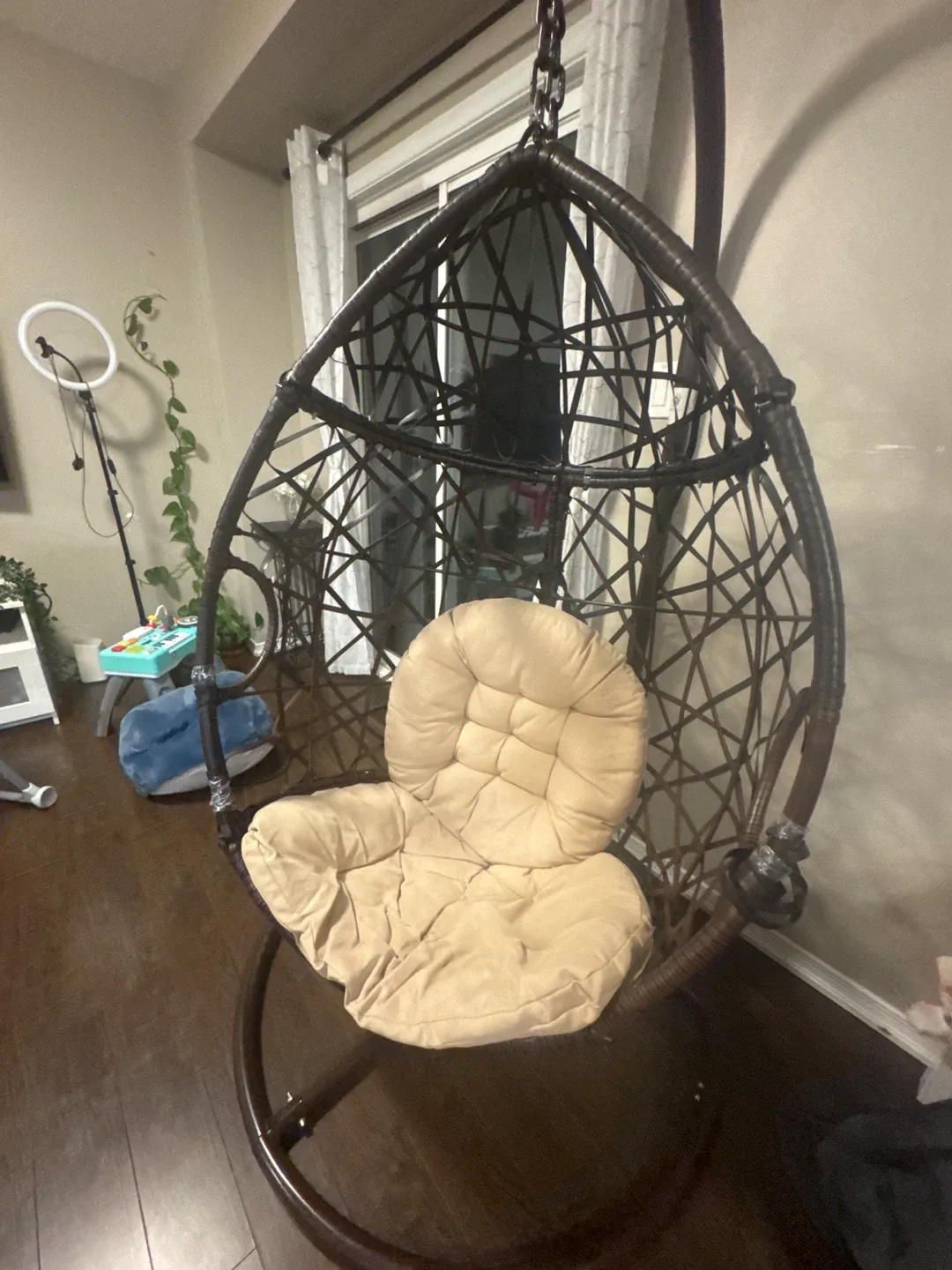 Hanging Egg Chair with Stand