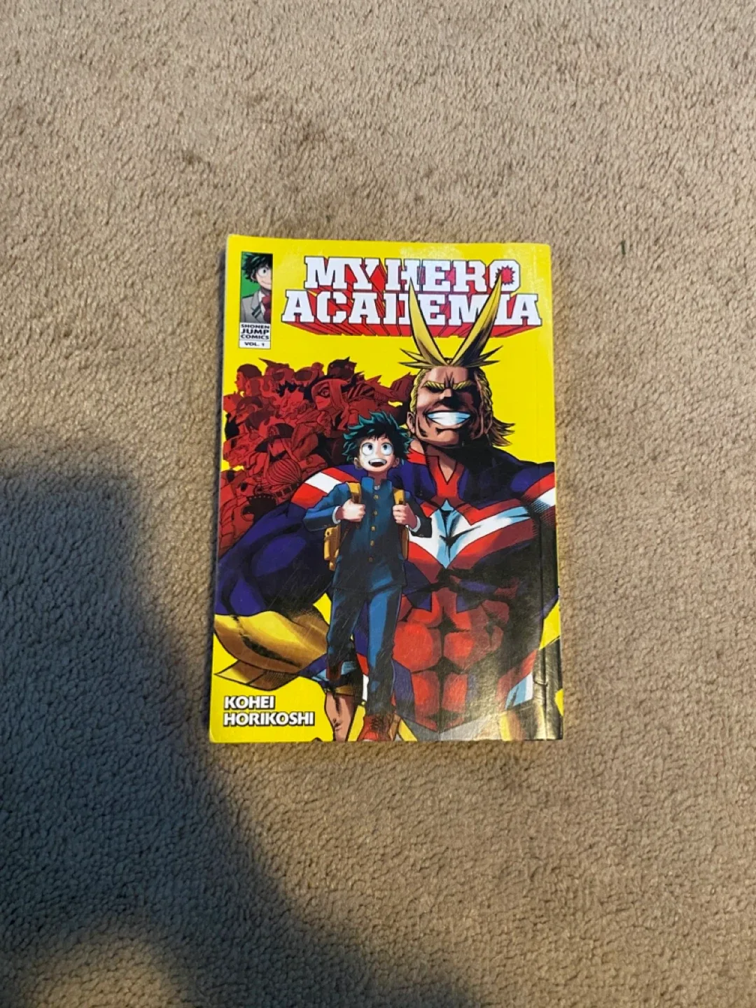 My Hero Academia Manga Volumes 1-4 image indicator(2)