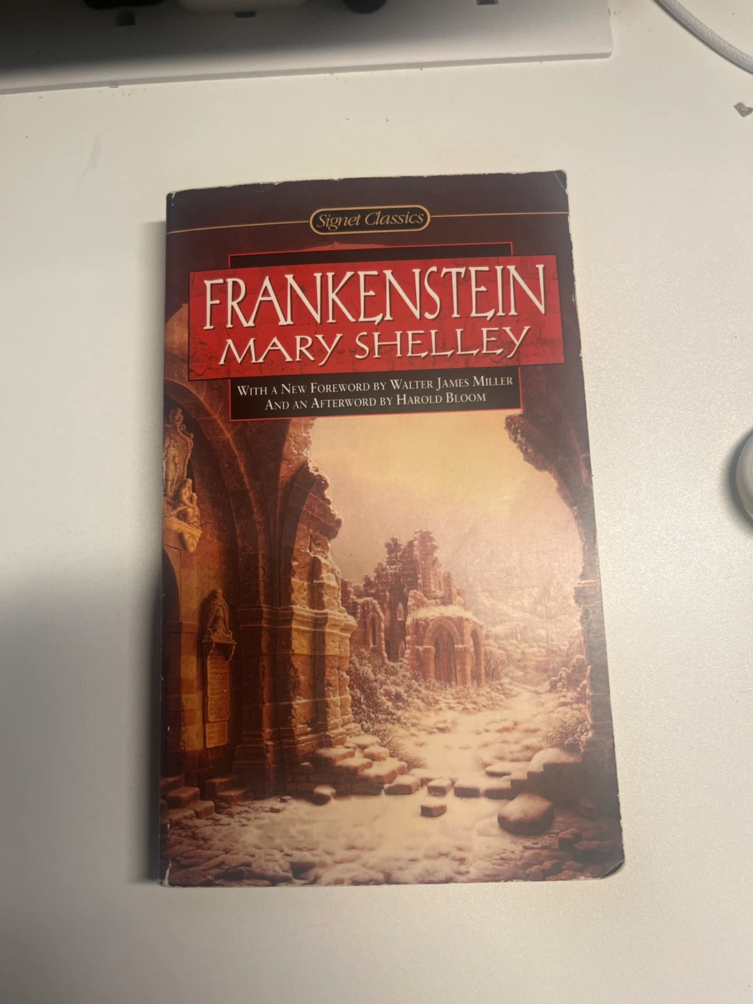🥕 Frankenstein by Mary Shelley (Signet Classics)