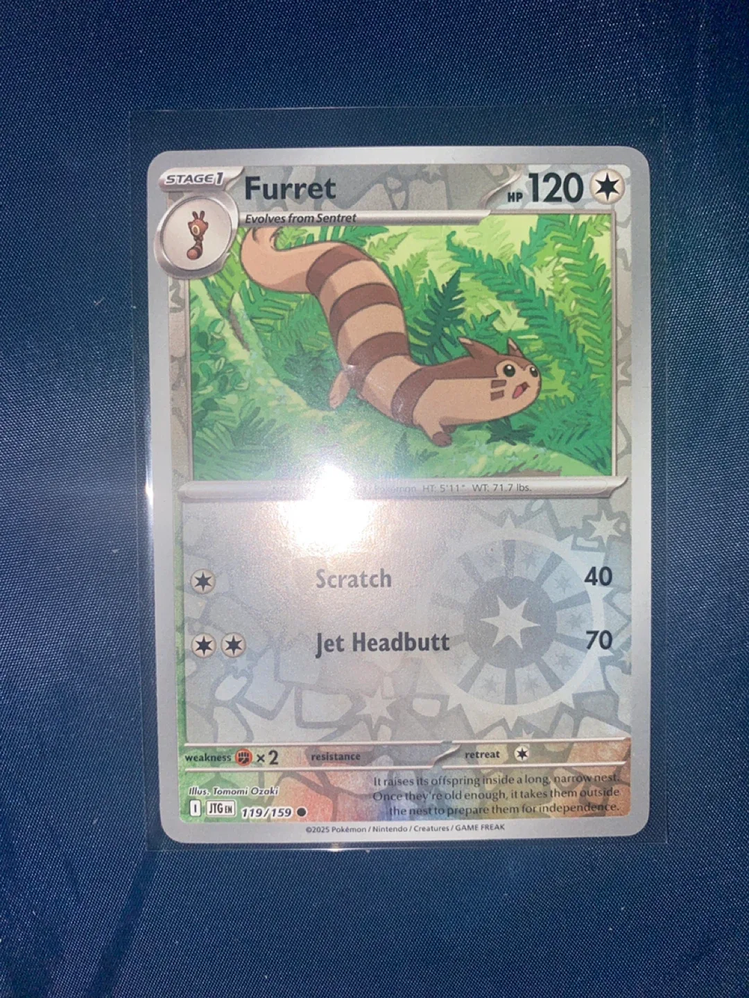 Pokemon Trading Cards image indicator(6)