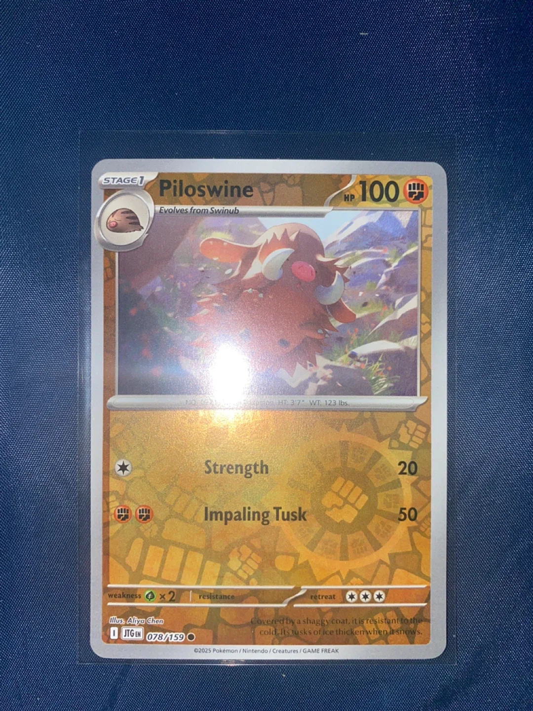 Pokemon Trading Cards image indicator(5)