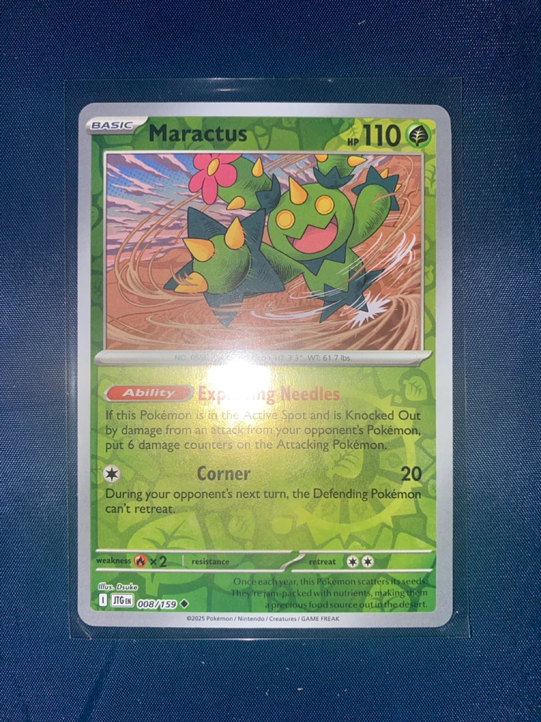 Pokemon Trading Cards - photo 4