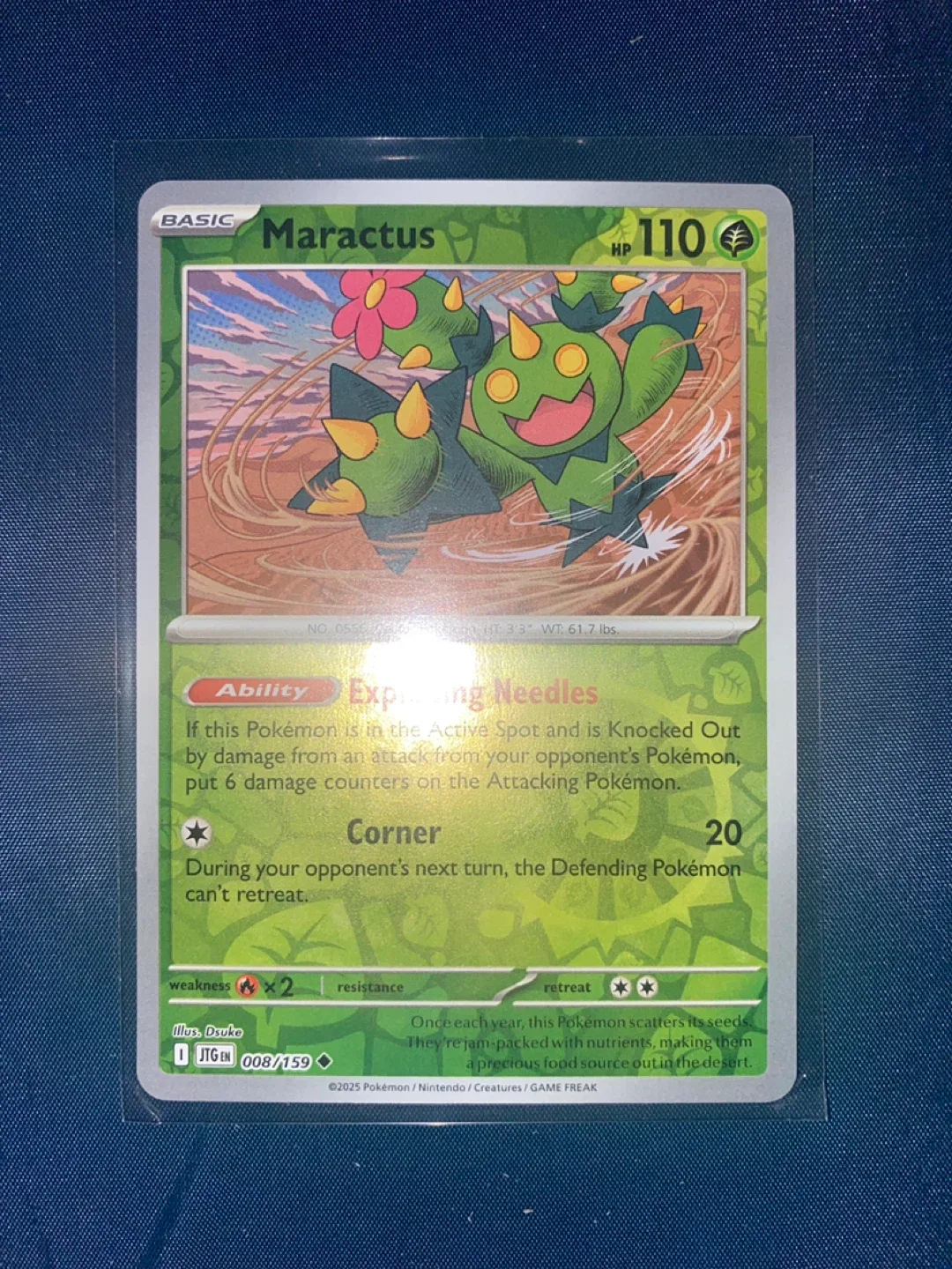 Pokemon Trading Cards image indicator(4)