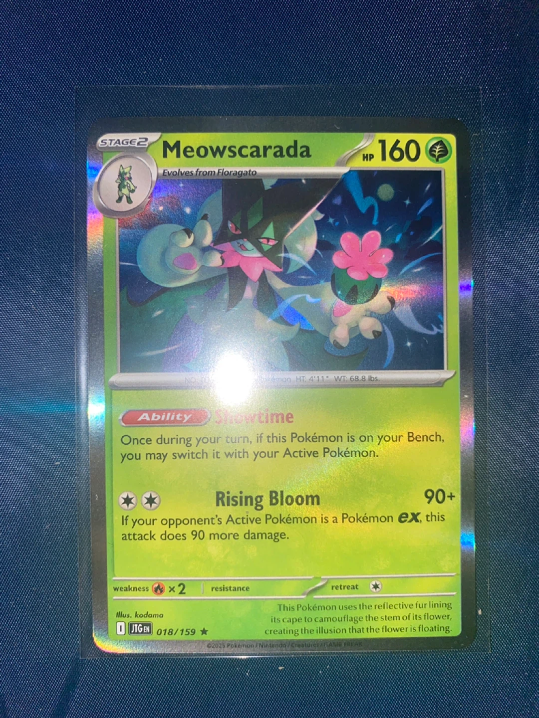 Pokemon Trading Cards - photo 3