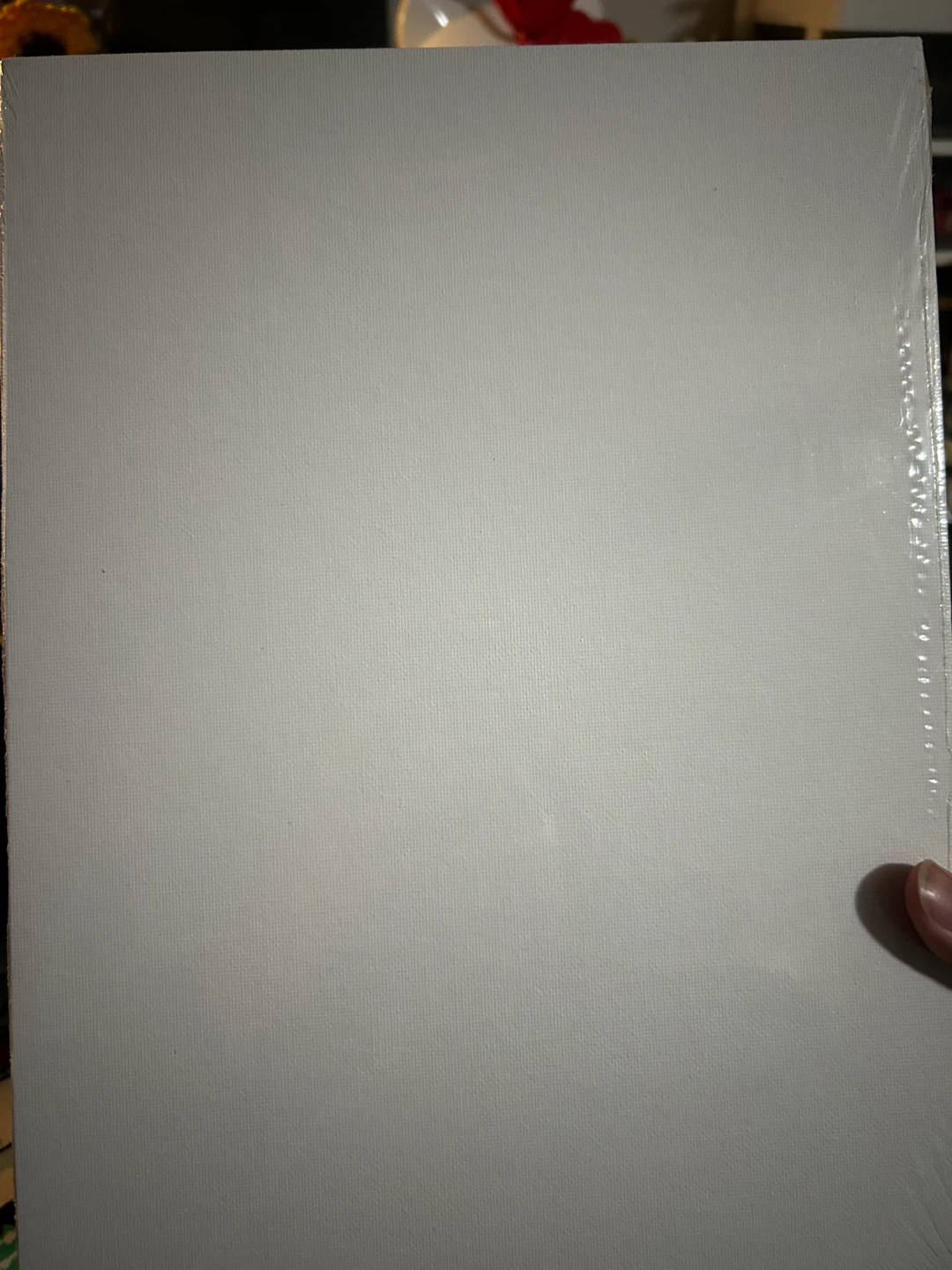 Phoenix Arts 9"x12" Canvas Panel - photo 3