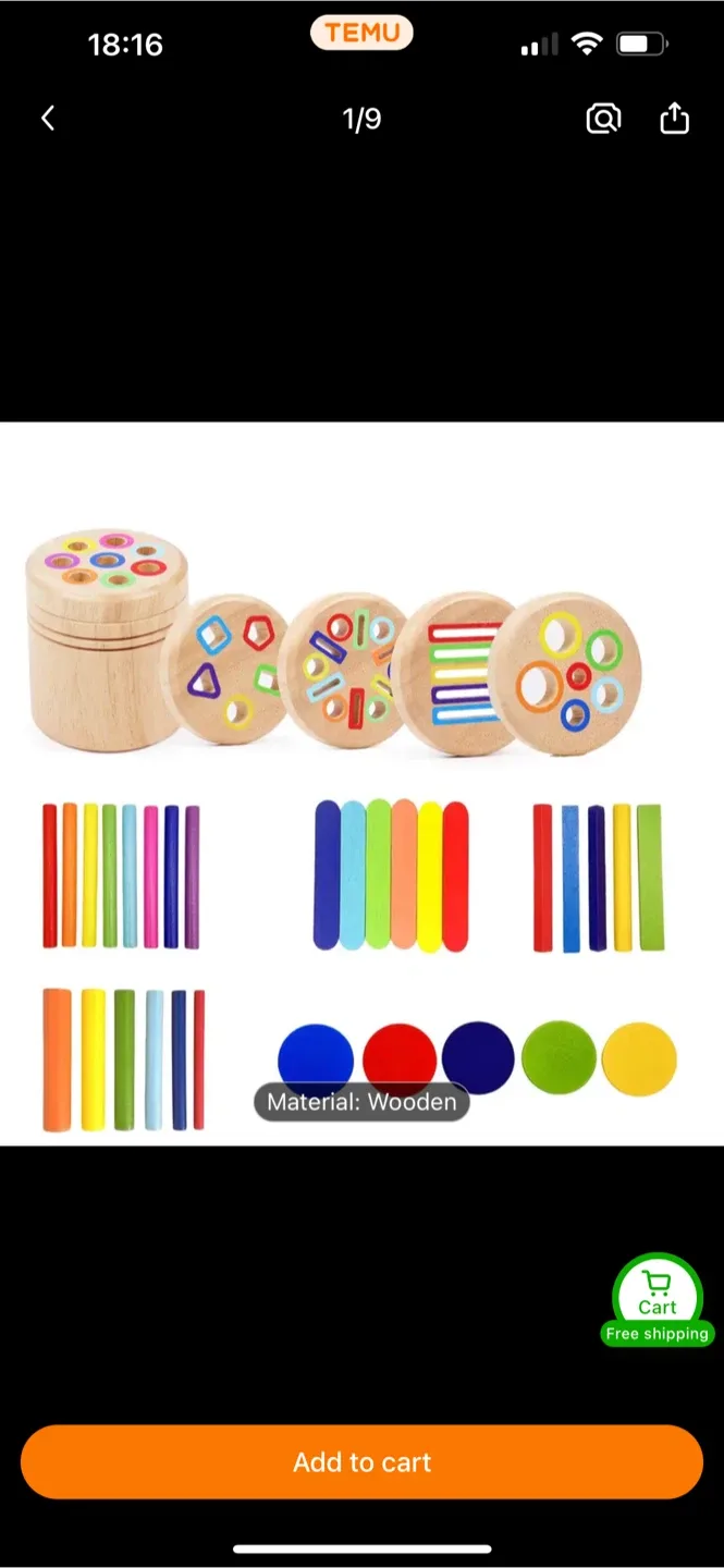 Montessori Wooden Shape Sorter Toy 5 in 1