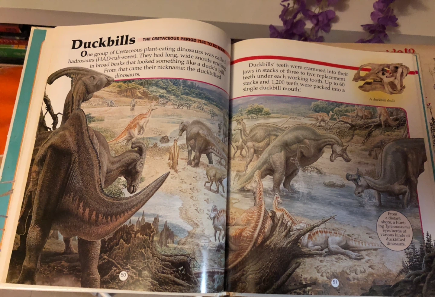 Dinosaurs Book 🥕 - photo 2