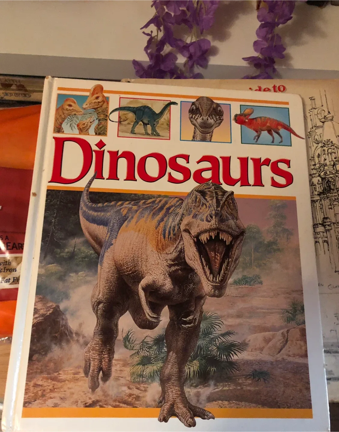 Dinosaurs Book 🥕