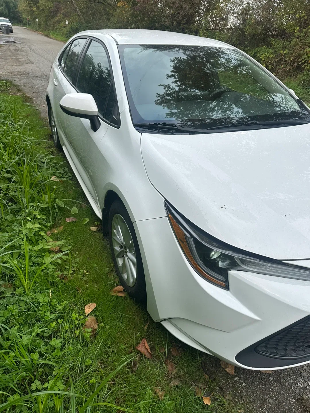 Toyota Corolla - White Sedan image indicator(2)