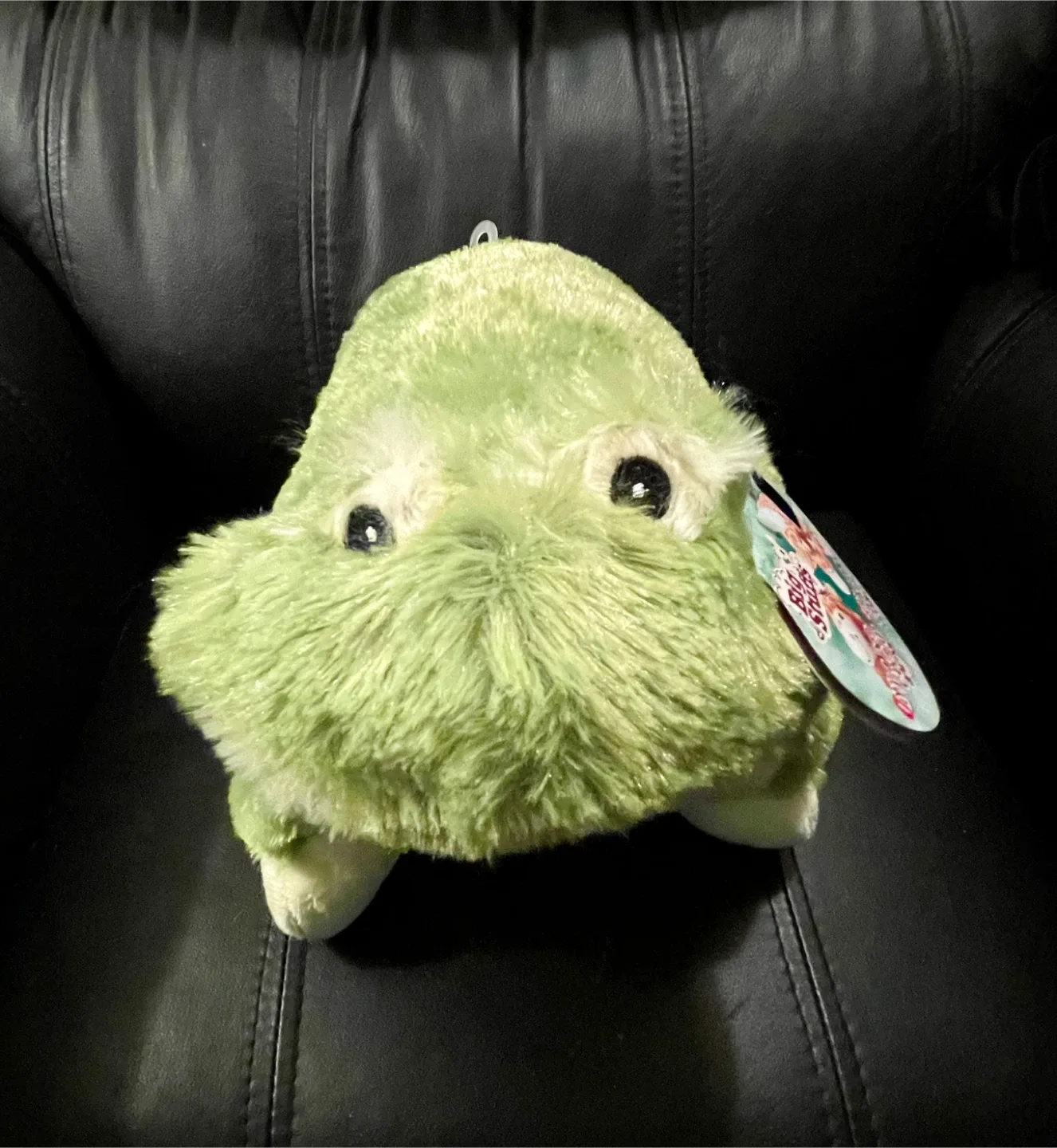 NEW Big Stuffs Plush Frog Pillow Pet image indicator(2)