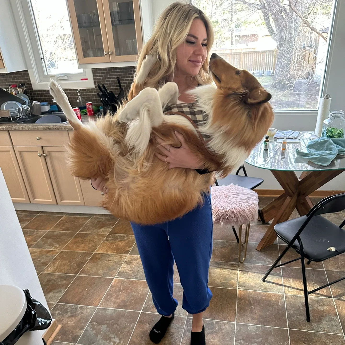 Dog sitter/walker thumbnail