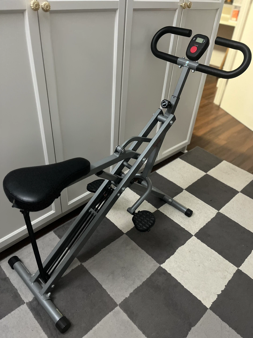 🥕 Thrifty Pick: Squat Assist Row-N-Ride Trainer