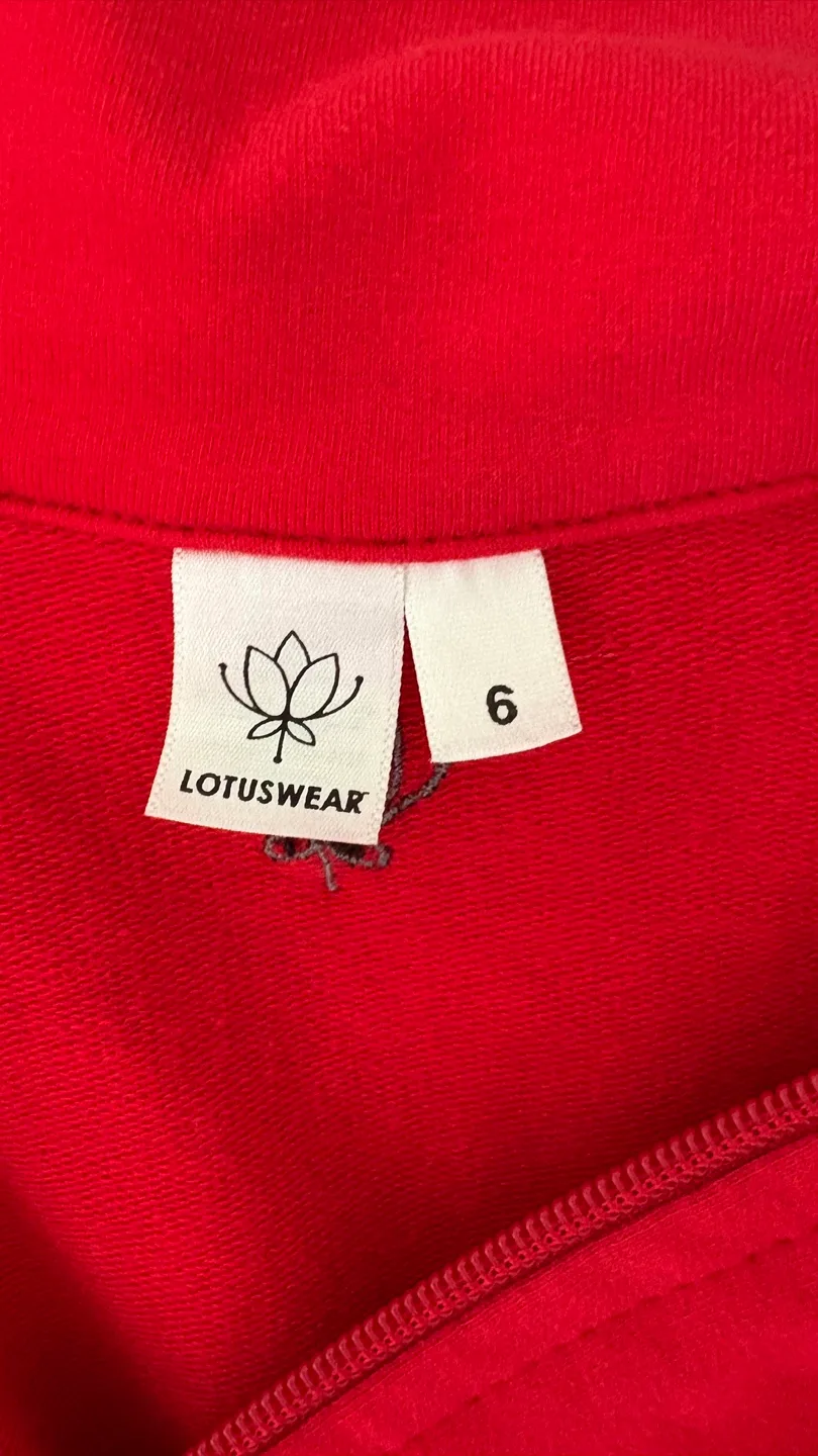 Lotuswear Red Dress - Size 6 image indicator(5)