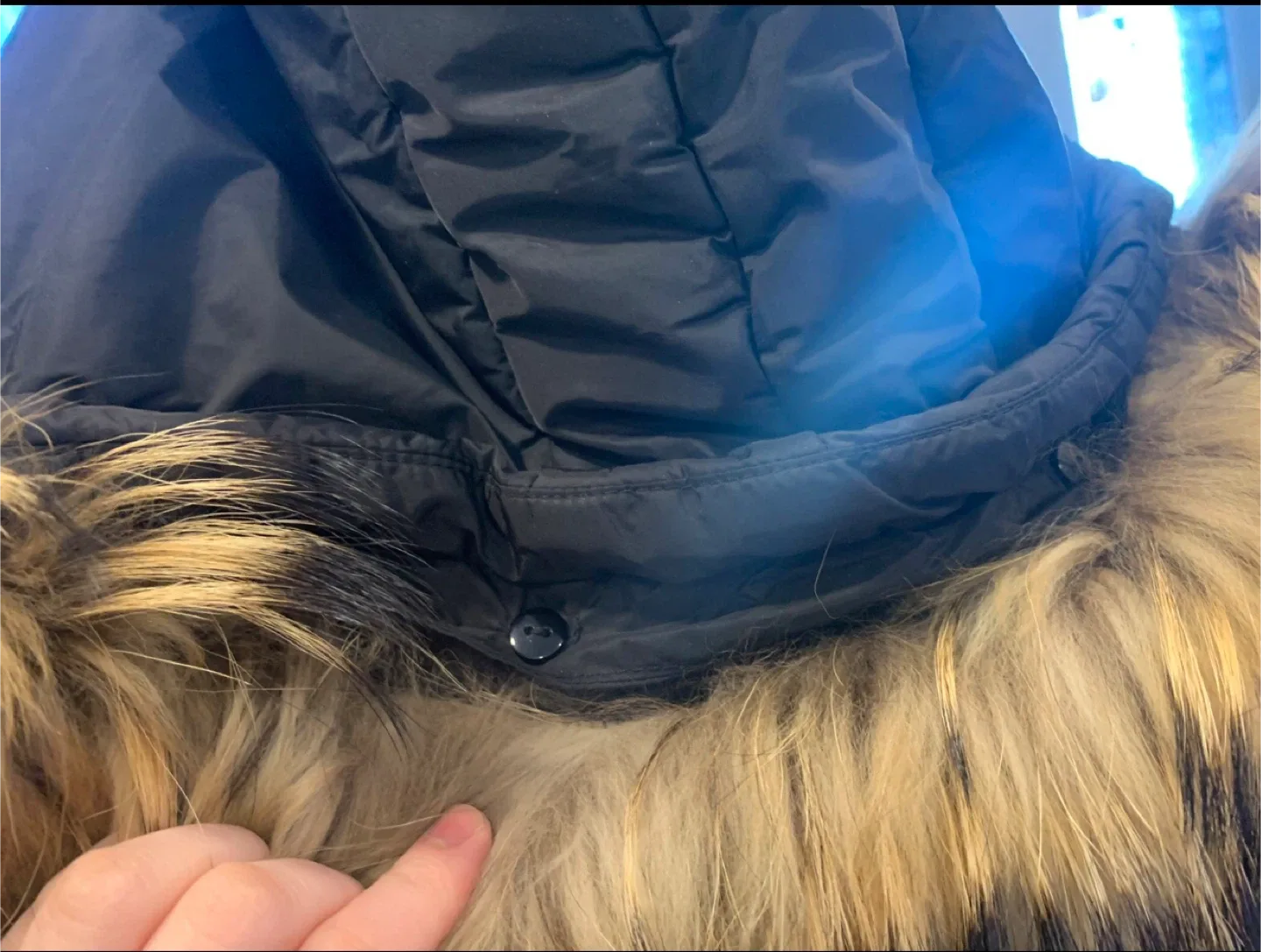 Moncler Down Coat Medium image indicator(3)