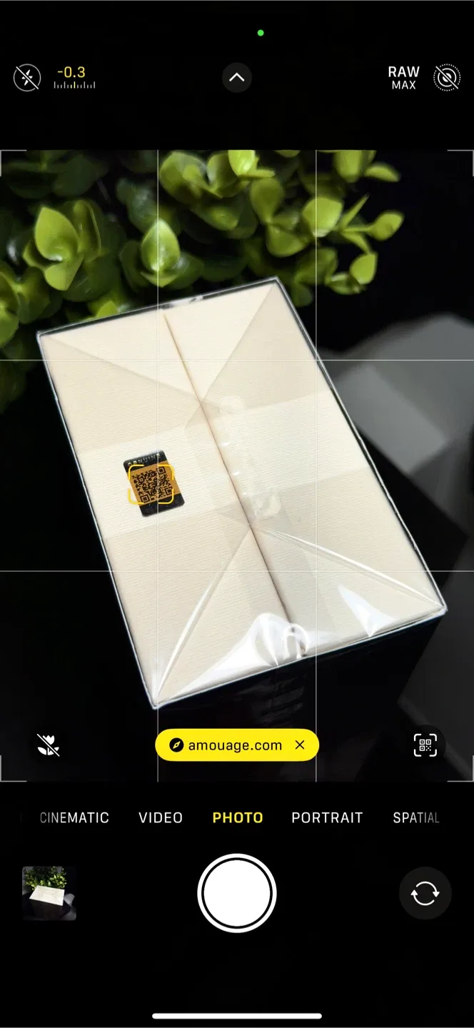 Amouage Outlands Essence de Parfum 100 mL — Brand New image indicator(7)