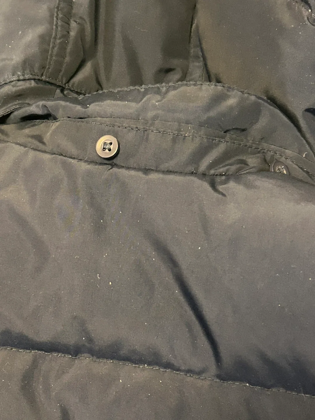 Navy Blue Puffer Jacket Gap   Toddler feather image indicator(9)