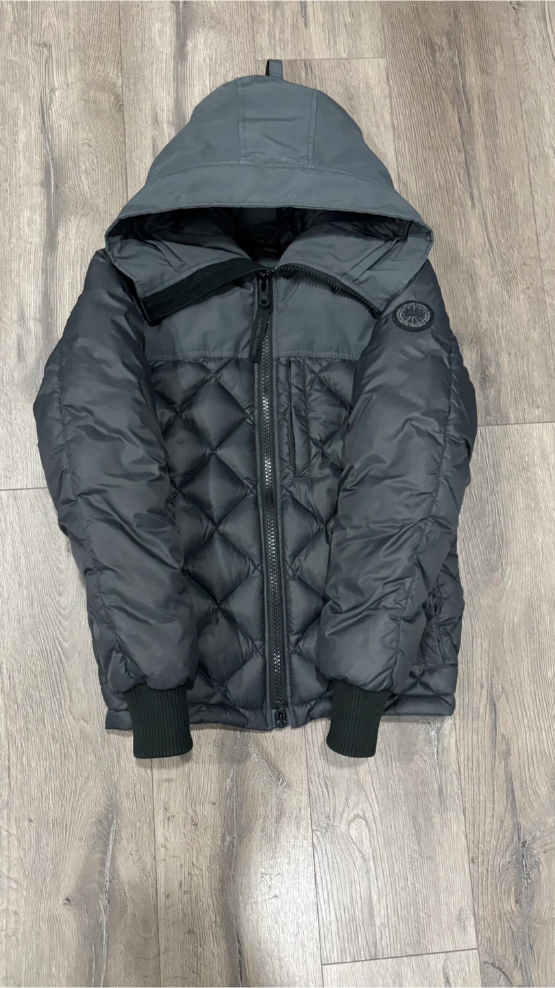 Canada goose